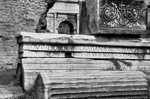 Roman Forum Detail